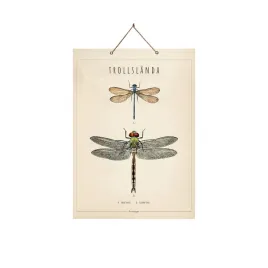 obraz-plakat-z-waszkami-kartonowy-46x33cm