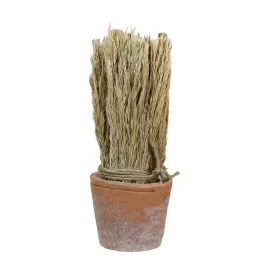 suszona-trzcina-w-doniczce-z-terakoty-wys-27cm