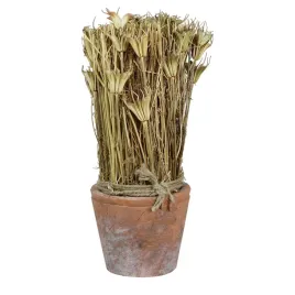 suszona-roslina-w-doniczce-z-terakoty-wys-27cm