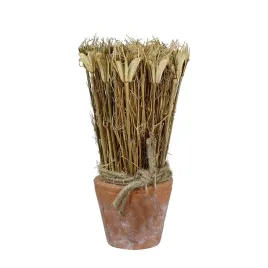 suszona-roslina-w-doniczce-z-terakoty-wys-20cm