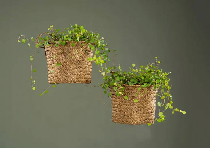 oslonka-boho-naturalna-suszona-trawa-sr-19cm-stan-nowy