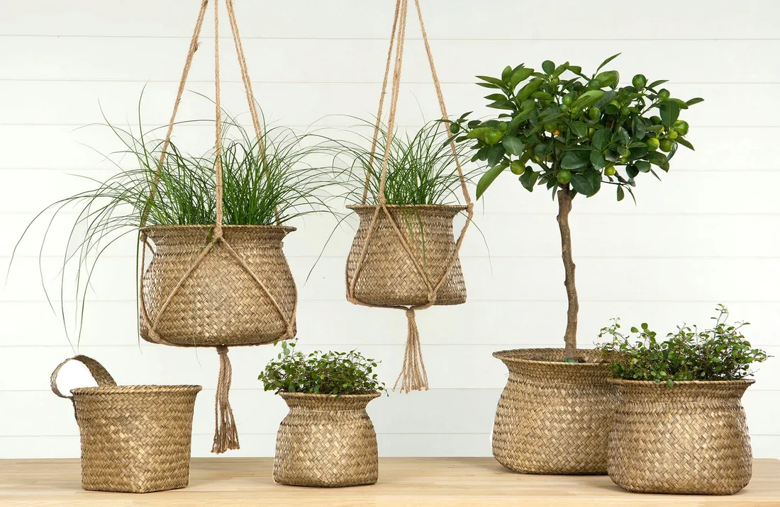 oslonka-boho-naturalna-suszona-trawa-sr-19cm