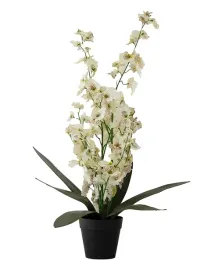 sztuczny-kwiat-storczyk-bialy-wys-54cm