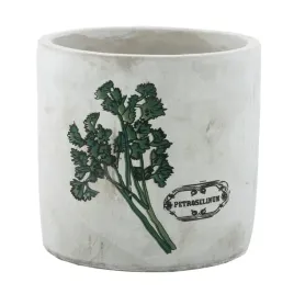 donica-do-ziol-kuchennych-pietruszka-sr-12cm