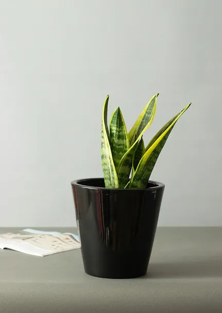 donica-sofia-ceramiczna-czarny-polysk-sr-19cm-stan-nowy