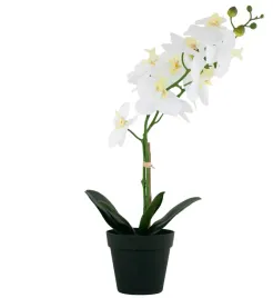 sztuczny-kwiat-storczyk-bialy-wys-52cm