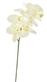 sztuczna-orchidea-do-wazonu-biala-110cm