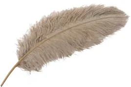 pioro-strusie-do-wazonu-bezowe-60cm