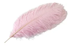 pioro-dekoracyjne-strusie-rozowe-60cm