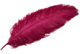 pioro-strusie-do-wazonu-kolor-karminowy-60cm