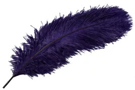 pioro-strusie-do-wazonu-kolor-purpurowy-60cm