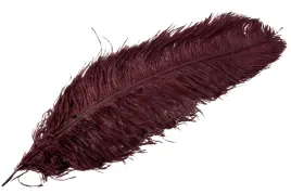 pioro-strusie-do-wazonu-stroikow-bordowe-60cm