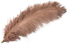 pioro-strusie-dekoracyjne-kolor-nugatowy-60cm