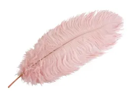 pioro-strusie-dekoracyjne-rozowe-45cm