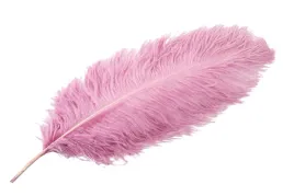 pioro-strusie-do-wazonow-stroikow-ciemny-roz-60cm