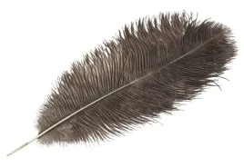 pioro-strusie-dekoracyjne-naturalny-szary-45cm