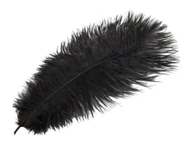 pioro-strusie-dekoracyjne-ciemny-braz-40cm