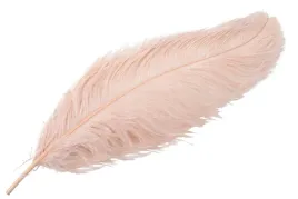 pioro-strusie-dekoracyjne-pudrowo-rozowe-60cm
