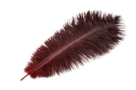 pioro-strusie-dekoracyjne-ciemnoczerwone-45cm