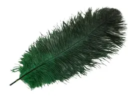 pioro-strusie-do-wazonow-ciemnozielone-45cm