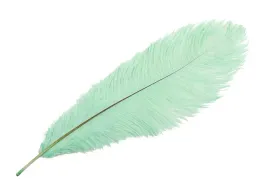 pioro-strusie-do-wazonu-turkusowe-35cm