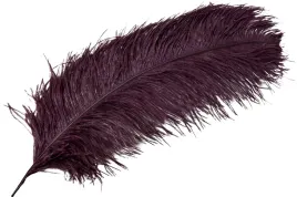 pioro-strusie-do-wazonow-ciemny-burgund-60cm