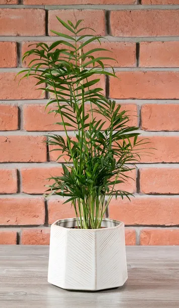 szara-donica-ceramiczna-sr-15cm-stan-nowy