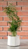 szara-donica-ceramiczna-sr-15cm-stan-nowy
