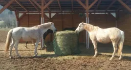 siatka-dla-koni-na-siano-balot-120-x-130-cm-oko-45-cm-4-mm