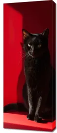 obraz-40x100cm-elegancja-w-cieniu