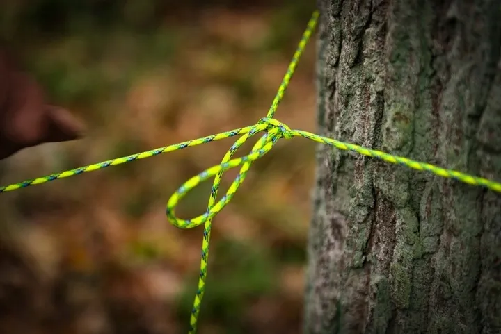 linka-tactical-275-cord-100ft-olive-drab