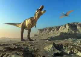 naklejki-na-sciane-dla-dzieci-plakat-dinozaury-rex-100x70