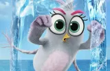 fototapeta-dla-dzieci-angry-birds-2-200x130-samoprzylepna-bohater-angry-birds