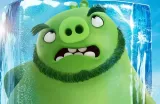 fototapeta-dla-dzieci-angry-birds-2-200x130-samoprzylepna-plec-chlopcy-dziewczynki