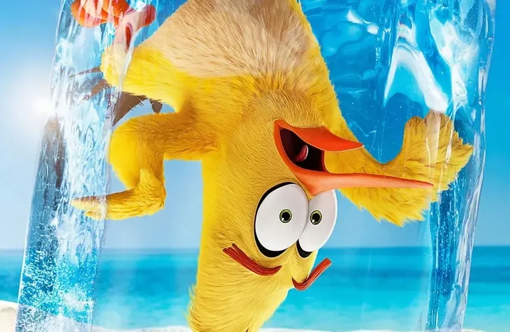fototapeta-dla-dzieci-angry-birds-2-200x130-samoprzylepna-dlugosc-1-3-m