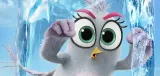 fototapeta-dla-dzieci-angry-birds-2-200x95-samoprzylepna-bohater-angry-birds