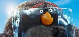 fototapeta-dla-dzieci-angry-birds-2-200x95-samoprzylepna-waga-z-opakowaniem-3-kg