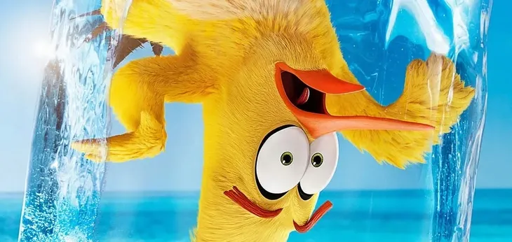 fototapeta-dla-dzieci-angry-birds-2-200x95-samoprzylepna-dlugosc-0-95-m