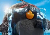 naklejki-na-sciane-dla-dzieci-plakat-angry-birds-2-100x70-waga-z-opakowaniem-3-kg