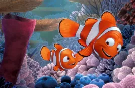 fototapeta-dla-dzieci-gdzie-jest-nemo-200x130-samoprzylepna
