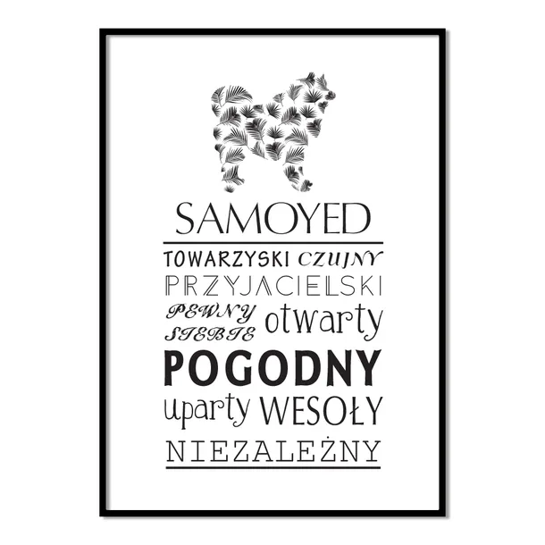 plakat-typograficzny-samoyed