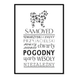 plakat-typograficzny-samoyed