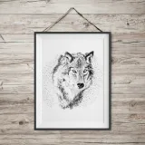 plakat-wilk