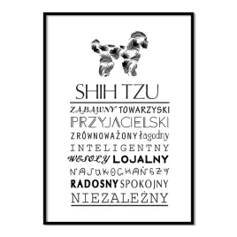 plakat-typograficzny-shih-tzu