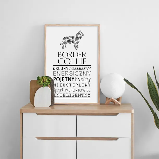 plakat-typograficzny-border-collie