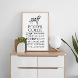 plakat-typograficzny-border-collie