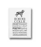 typograficzny-obraz-na-plotnie-border-collie