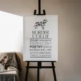 typograficzny-obraz-na-plotnie-border-collie