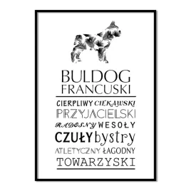 plakat-typograficzny-buldog-francuski