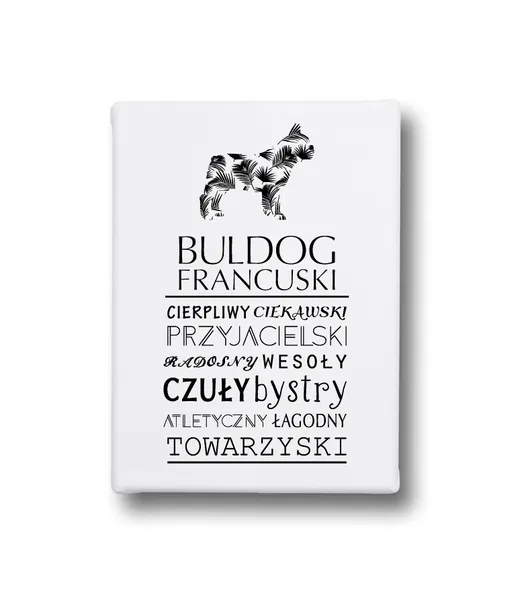 typograficzny-obraz-na-plotnie-buldog-francuski